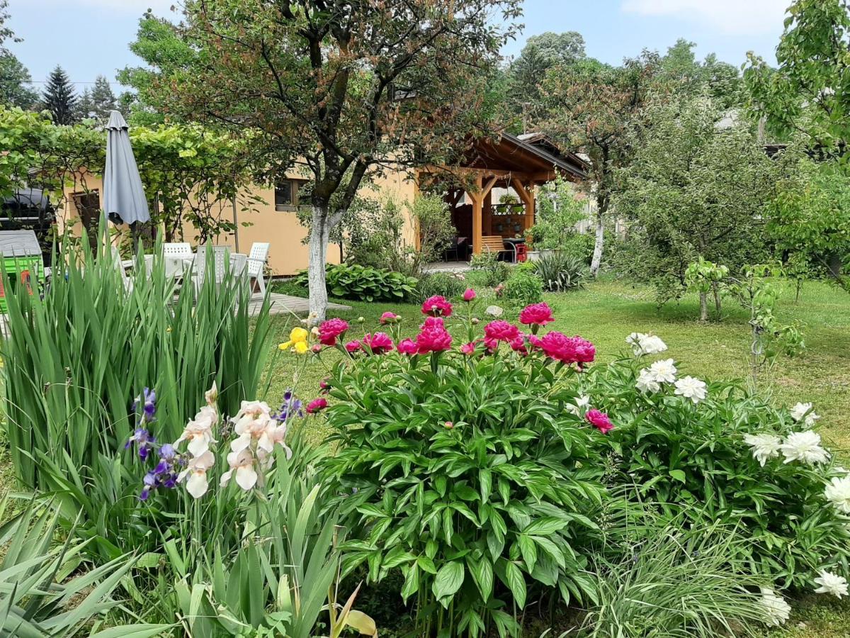 Apartmán Magnolija Banja Luka Exteriér fotografie